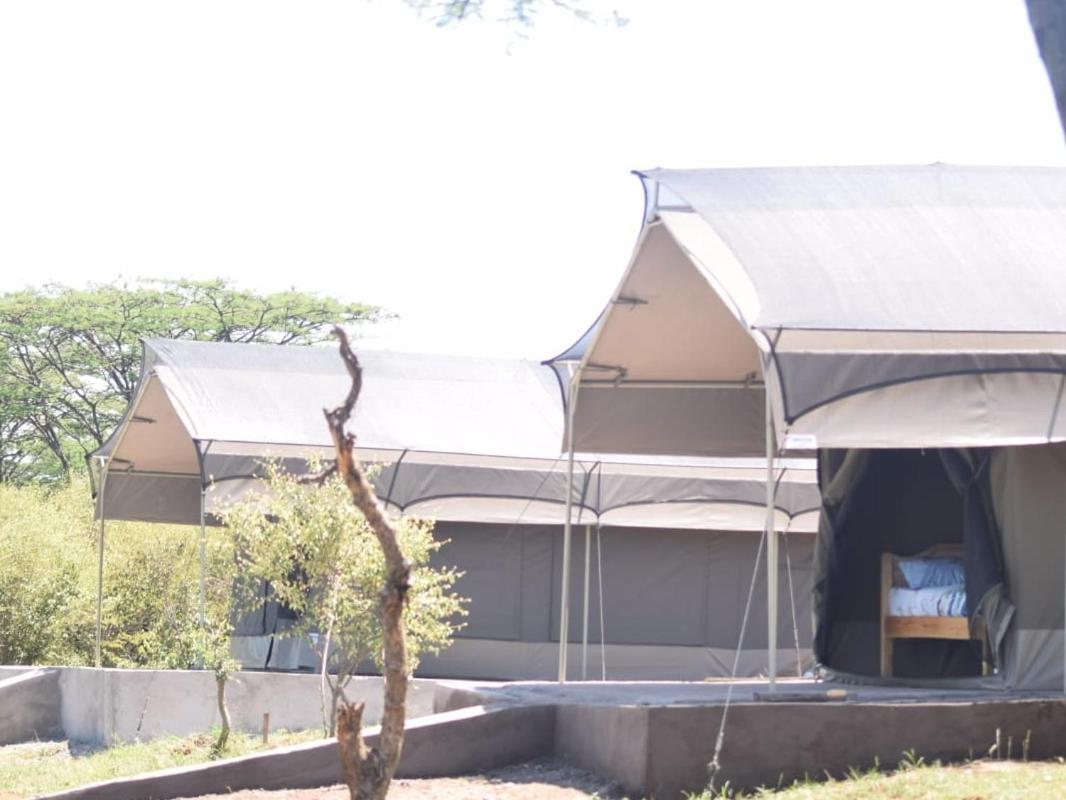 Maasai Mara Safari Camp In Kenya Bed & Breakfast Sekenani Exterior photo