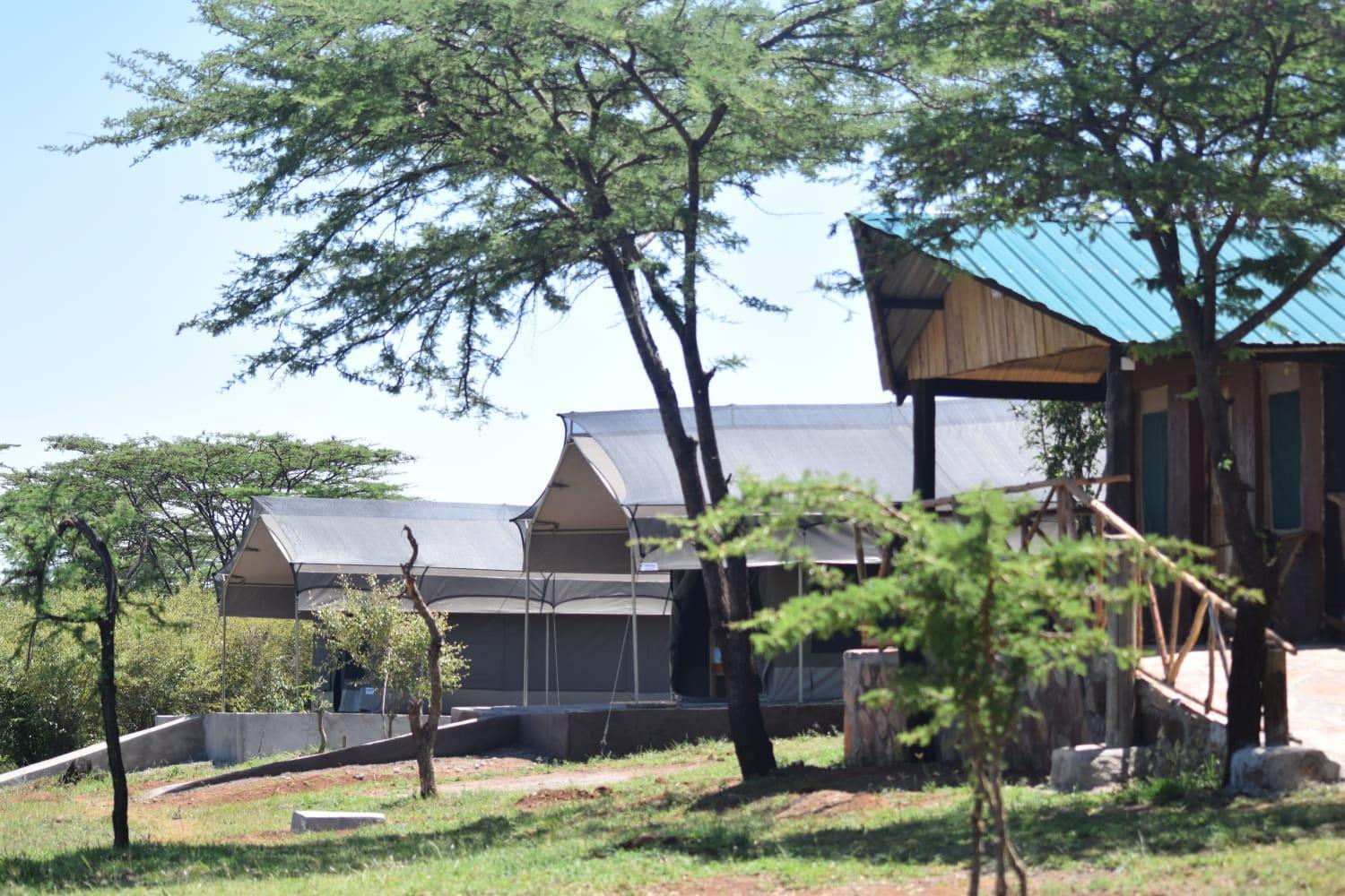 Maasai Mara Safari Camp In Kenya Bed & Breakfast Sekenani Exterior photo